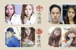 亚洲国产一区二区a毛片日本,一区二区a毛片背后的日本元素